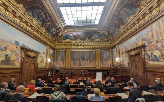 CSM - Conseil d'Etat